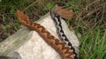 اسکرین-شات-The-Secret-Life-of-Snakes
