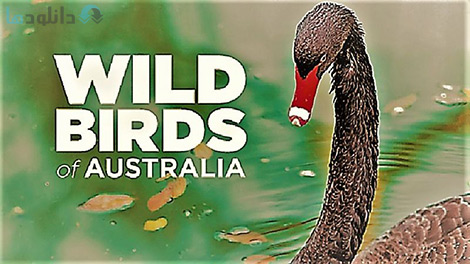 کاور-مستند-Wild-Birds-of-Australia