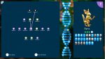 اسکرین-شات-بازی-Niche-a-genetics-survival