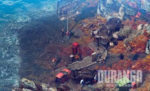 اسکرین-شات-durango-wild-lands