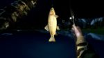 اسکرین-شات-بازی-Ultimate-Fishing-Simulator