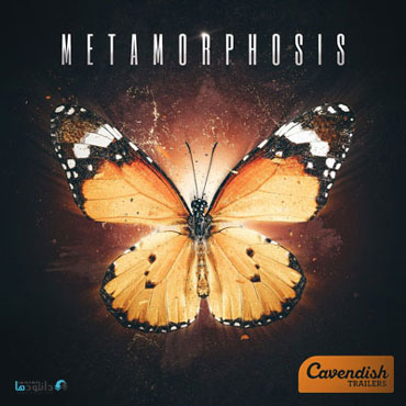 آلبوم-موسیقی-metamorphosis-music-album