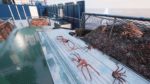 اسکرین-شات-بازی-Fishing-Barents-Sea-King-Crab