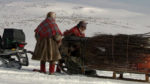 اسکرین-شات-All-Aboard-The-Great-Reindeer-Migration