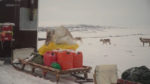 اسکرین-شات-All-Aboard-The-Great-Reindeer-Migration
