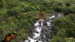 اسکرین-شات-Mass-Extinction-Life-at-the-Brink
