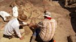 اسکرین-شات-Mass-Extinction-Life-at-the-Brink
