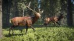 اسکرین-شات-بازی-theHunter-Call-of-the-Wild-PS4