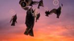 اسکرین-شات-Life-in-the-Air