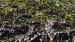 اسکرین-شات-Medieval-Kingdom-Wars