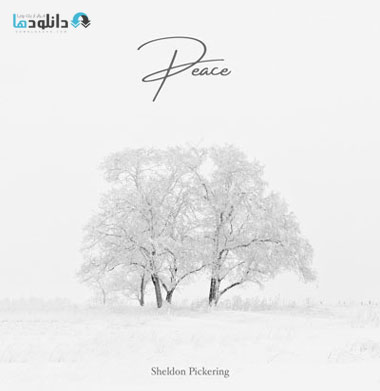البوم-موسیقی-peace-music-album