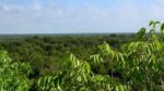 اسکرین-شات-Walking-the-Americas