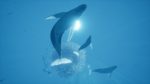 اسکرین-شات-بازی-ABZU-PS4