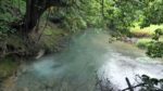 اسکرین-شات-Costa-Rica-Wildlife-under-the-Rainbow