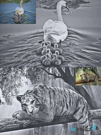 اکشن-فتوشاپ-hdr-black-and-white-photoshop-action