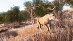 Hunting-Simulator-PS4-Screenshot.06