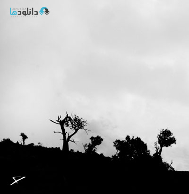 البوم-موسیقی-inure-music-album