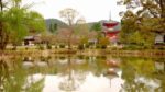 اسکرین-شات-Japanese-Gardens