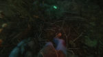 اسکرین-شات-بازی-The-Cursed-Forest