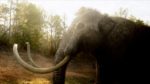 اسکرین-شات-What-on-Earth