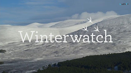 دانلود-مستند-Winterwatch-2019
