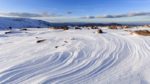 اسکرین-شات-Winterwatch-2019