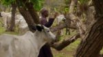 اسکرین-شات-Africa-with-Ade