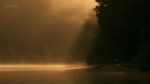 اسکرین-شات-Giant-Otters-of-the-Amazon