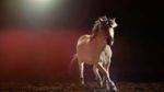 اسکرین-شات-Nature-Equus-Story-of-the-Horse