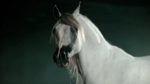 اسکرین-شات-Nature-Equus-Story-of-the-Horse