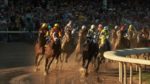 اسکرین-شات-Nature-Equus-Story-of-the-Horse