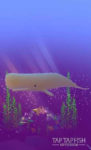 اسکرین-شات-tap-tap-fish-abyssrium