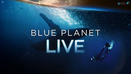 دانلود-مستند-Blue-Planet-Live-2019