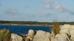 اسکرین-شات-Tasmania-Weird-and-Wonderful