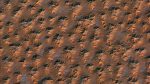 اسکرین-شات-Earth-from-Space