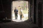 تصاویر-قسمت-16-نهنگ-آبی
