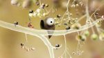 اسکرین-شات-بازی-Botanicula-HD