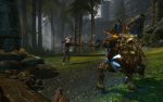 اسکرین-شات-بازی-Kingdoms-of-Amalur-Reckoning-Collection-PC