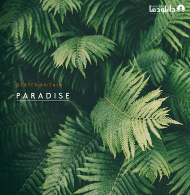 البوم-موسیقی-dexter-britain-paradise