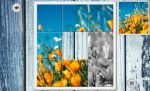 اسکرین-شات-imageine