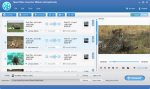 نرم-افزار-Tipard-Video-Converter