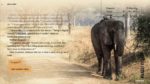 تصاویر-بازی-Wanderlust-Travel-Stories