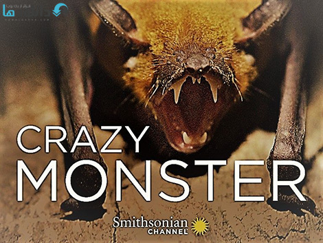 کاور-Crazy-Monster-2015