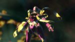 اسکرین-شات-Digimon-Story-Cyber-Sleuth