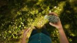 تصاویر-بازی-Morels-The-Hunt