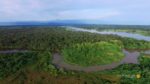 مستند-Panamas-Animal-Highway