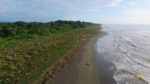 Panamas-Animal-Highway-4