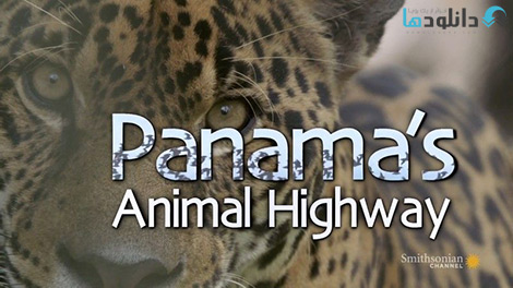 مستند-Panamas-Animal-Highway