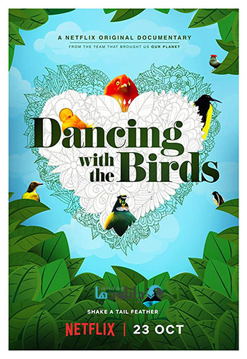 مستند-Dancing-with-the-Birds
