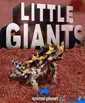 مستند-Little-Giants